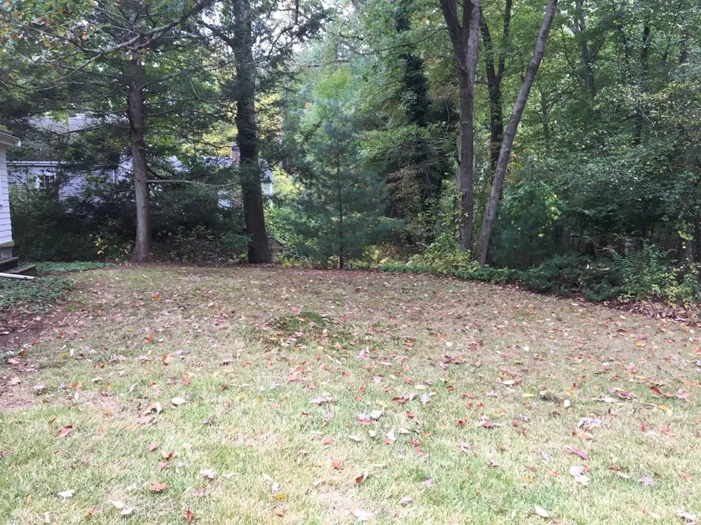 Local garden landscaping experts serving Waltham, MA - Marquense Landscaping