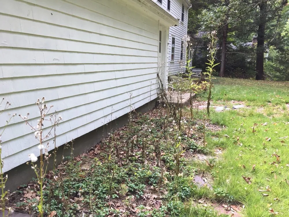 Local landscape design experts serving Waltham, MA - Marquense Landscaping