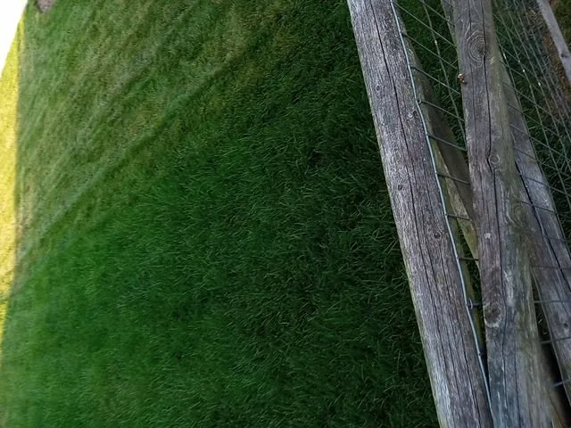 Professional outdoor landscaping in Toledo, OH - Marquette Lawn Service And More