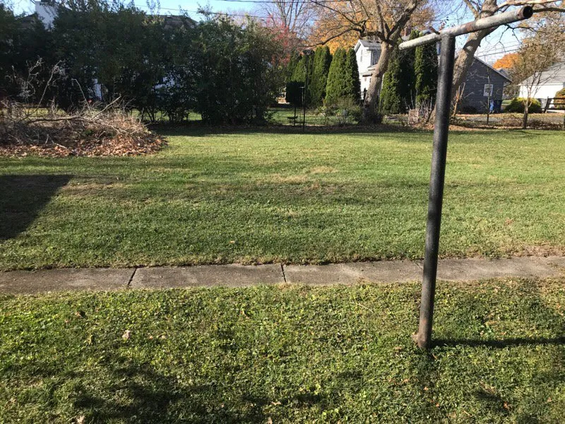 Affordable landscaping services in Toledo, OH - Marquette Lawn Service And More