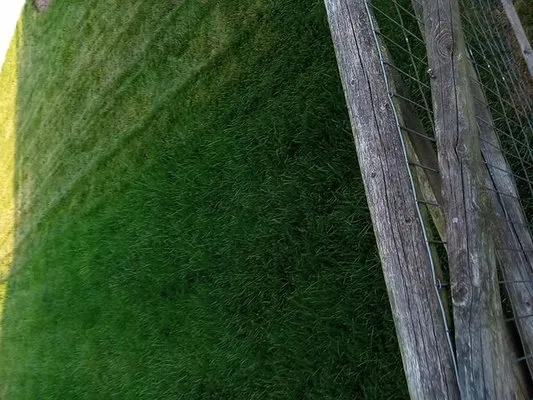 Marquette Lawn Service And More Logo