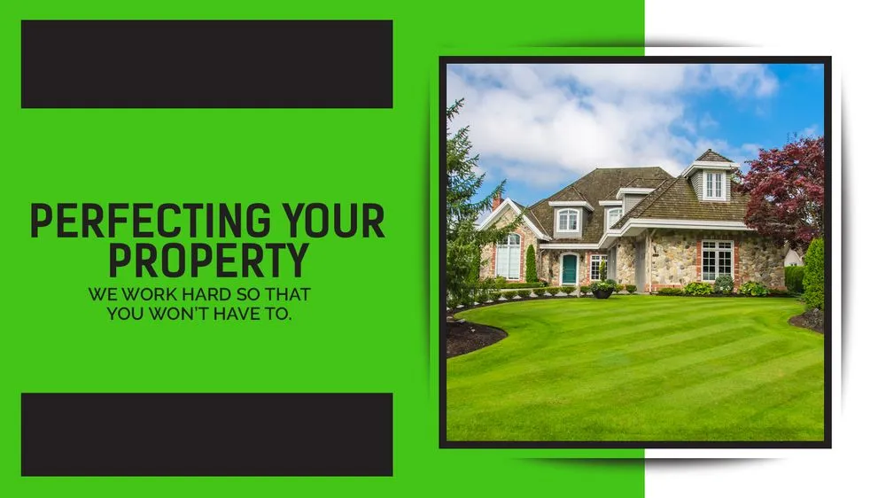 Trusted yard cleanup service for beautiful yards across Vienna, OH - Marquette Property Maintenance