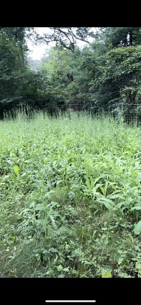 Trusted outdoor landscaping for homes across Harvard, IL - Marquez and Escobar Landscaping