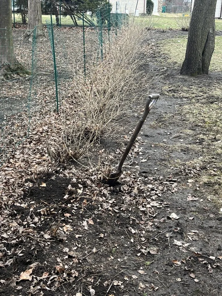 Affordable yard cleanup service experts serving Skokie, IL - Marquez Lands