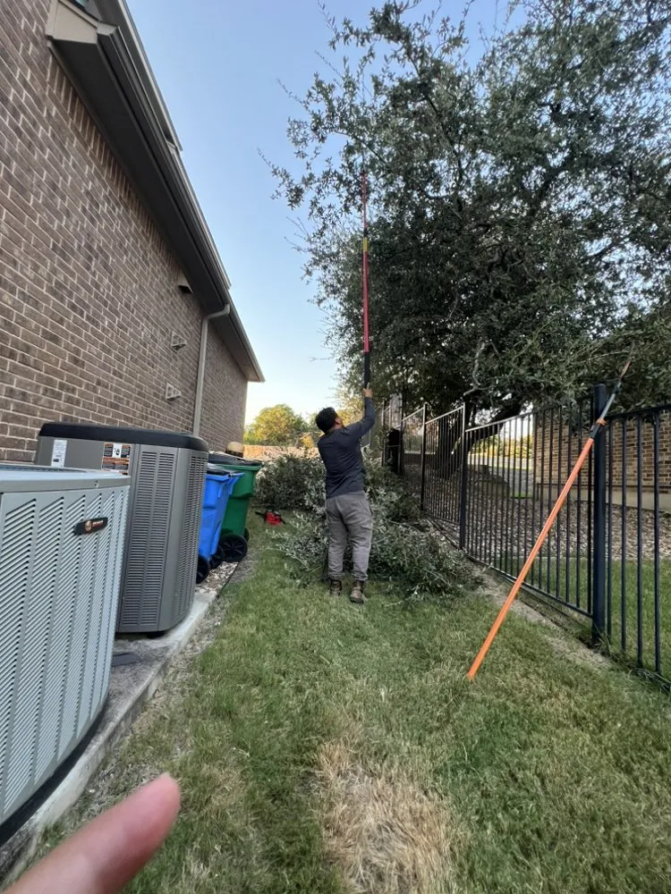 Professional landscaping services in Austin, TX - Marquez Landscaping