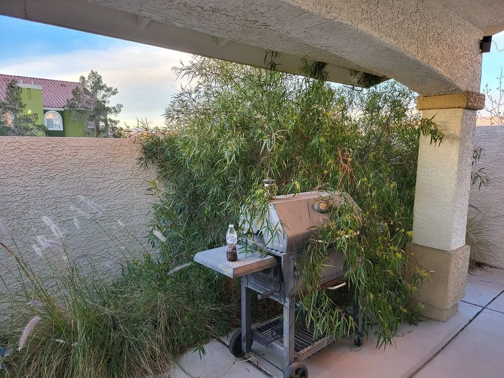 Custom landscaping services for residential properties in Las Vegas, NV by Marquez Landscaping