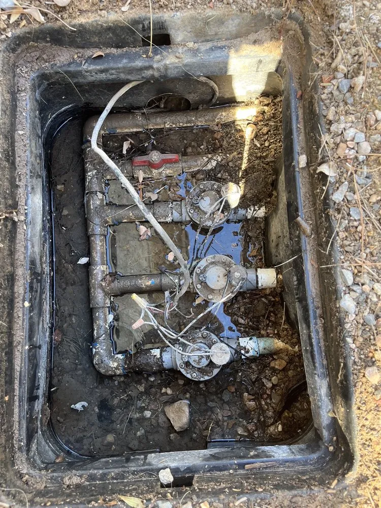 Affordable yard maintenance in Las Vegas, NV by Marquez Landscaping