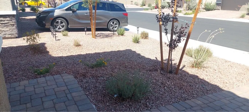 Trusted yard cleanup service for homes across Las Vegas, NV - Marquez Landscaping
