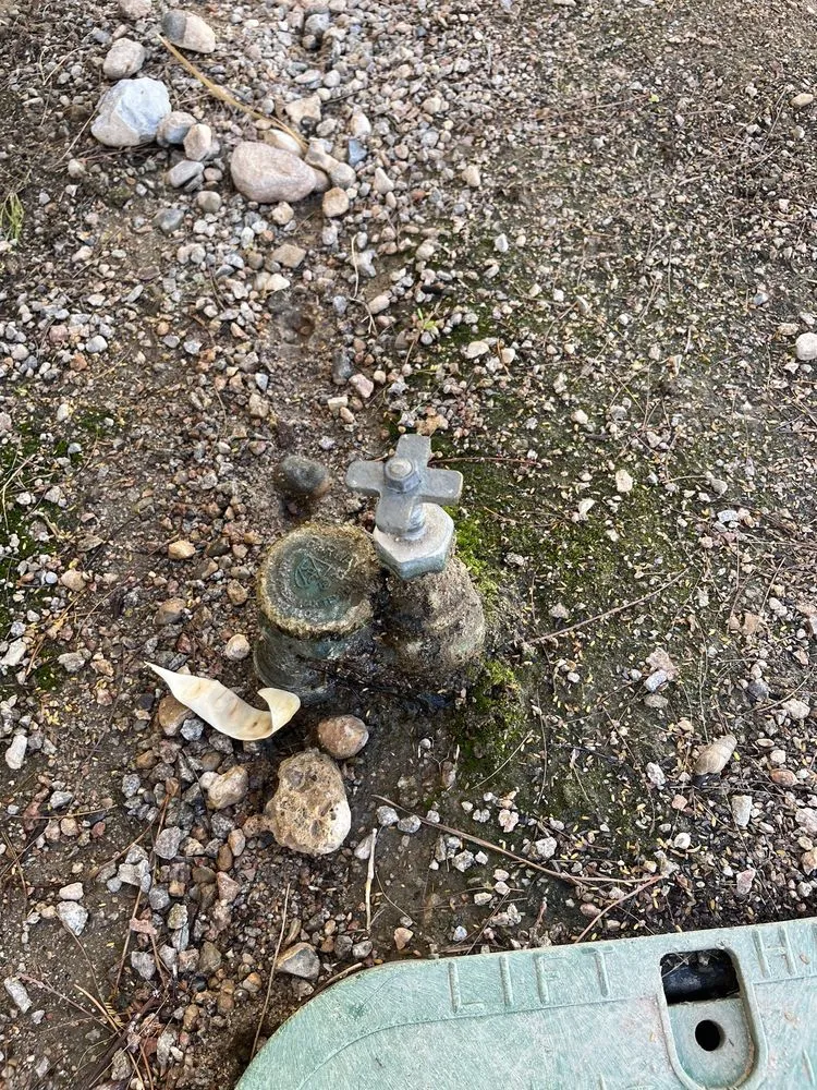 Trusted garden landscaping in Las Vegas, NV by Marquez Landscaping