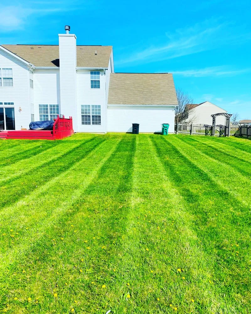 Reliable landscape design for year-round maintenance across Indianapolis, IN - Marquez Lawn Care