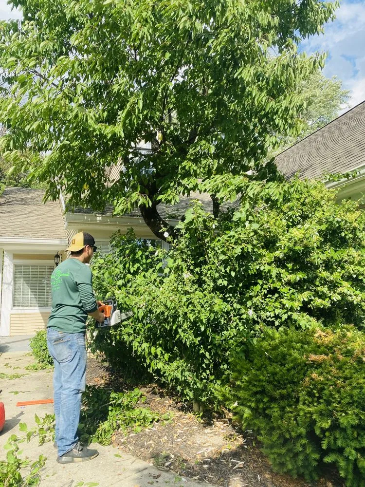 Affordable garden landscaping for beautiful yards in Indianapolis, IN by Marquez Lawn Care