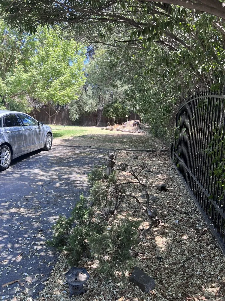 Local lawn mowing service experts serving Oakdale, CA - Marquez Lawn Care