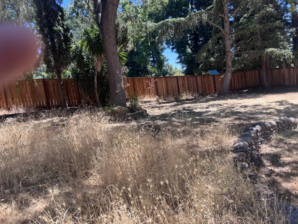 Professional yard maintenance experts serving Oakdale, CA - Marquez Lawn Care