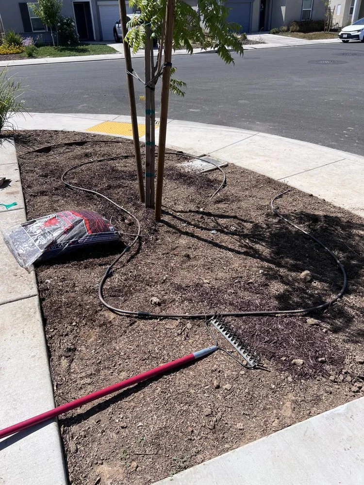 Expert lawn care service in Oakdale, CA by Marquez Lawn Care