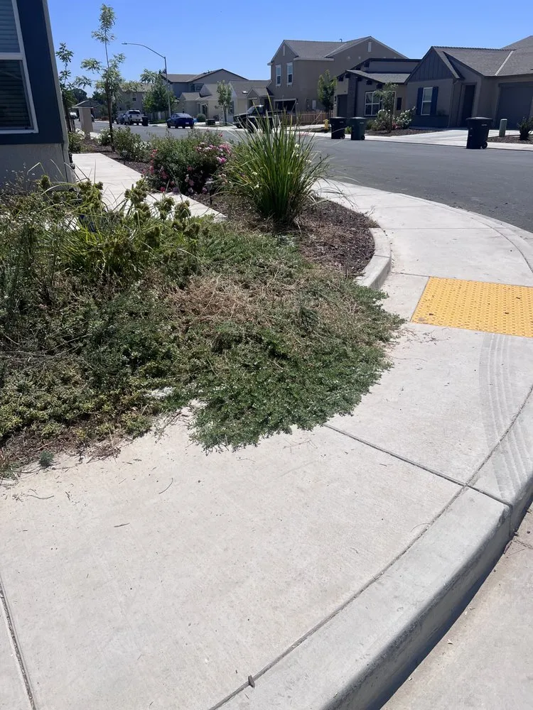 Local yard cleanup service for year-round maintenance in Oakdale, CA by Marquez Lawn Care