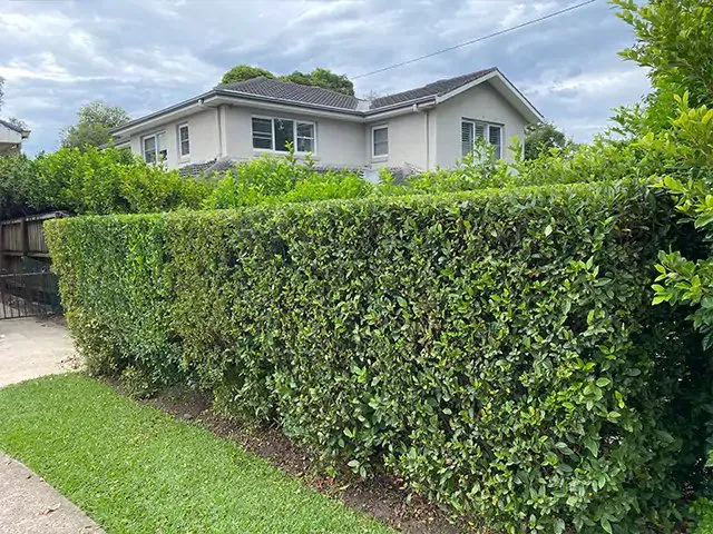 Reliable lawn care service experts serving Tulsa, OK - Marquez Lawn Care