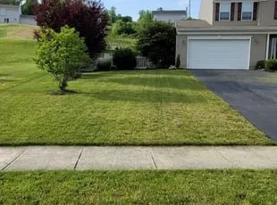 Top-rated outdoor landscaping for year-round maintenance in Tulsa, OK by Marquez Lawn Care