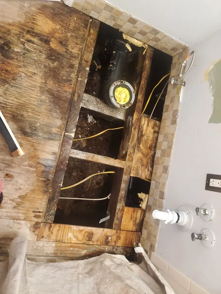 Trusted landscape installation in La Mesa, CA by Marquez Maintenance & Repair