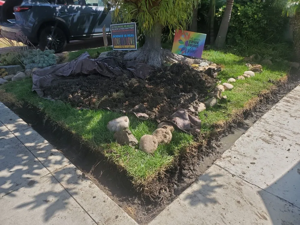 Top-rated lawn care service in La Mesa, CA - Marquez Maintenance & Repair