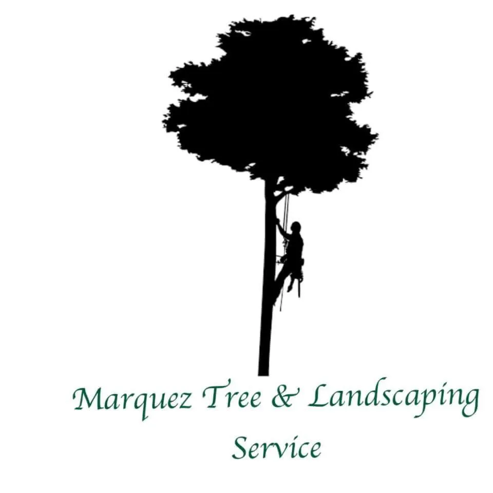 Affordable landscape installation for beautiful yards in Colton, CA by Marquez Tree Service & Landscaping