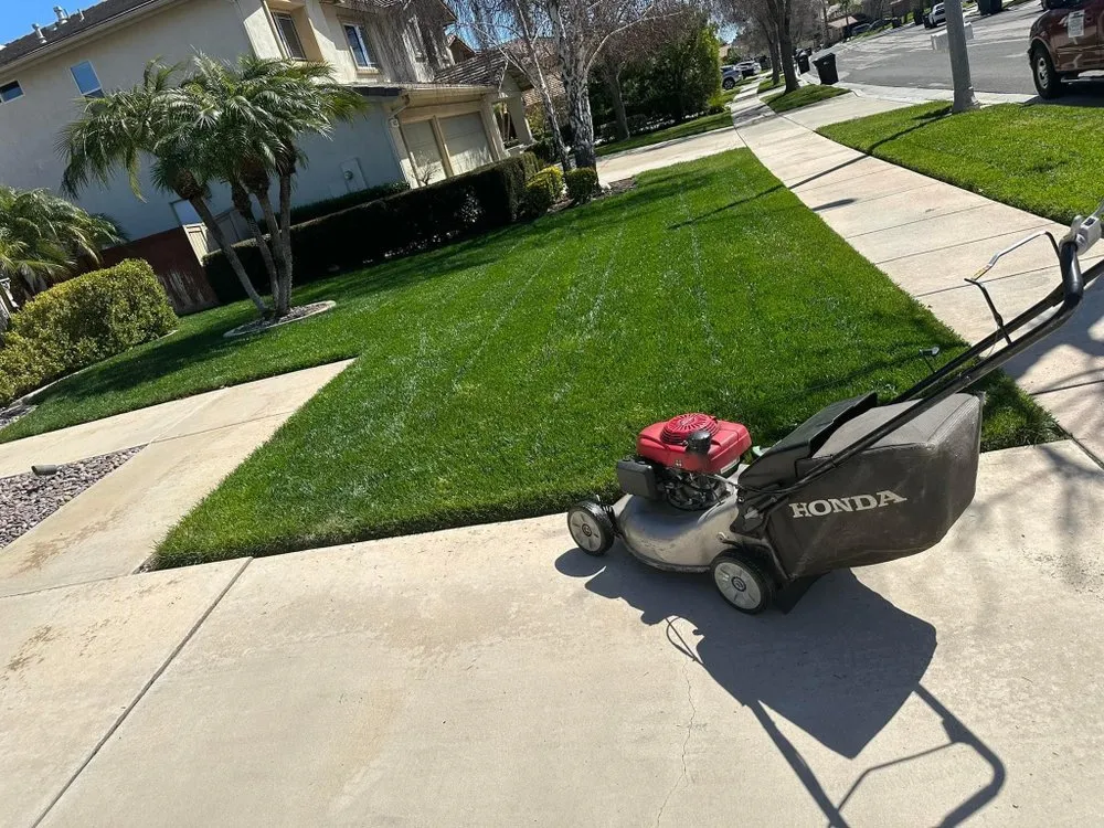 Local lawn mowing service in Colton, CA by Marquez Tree Service & Landscaping