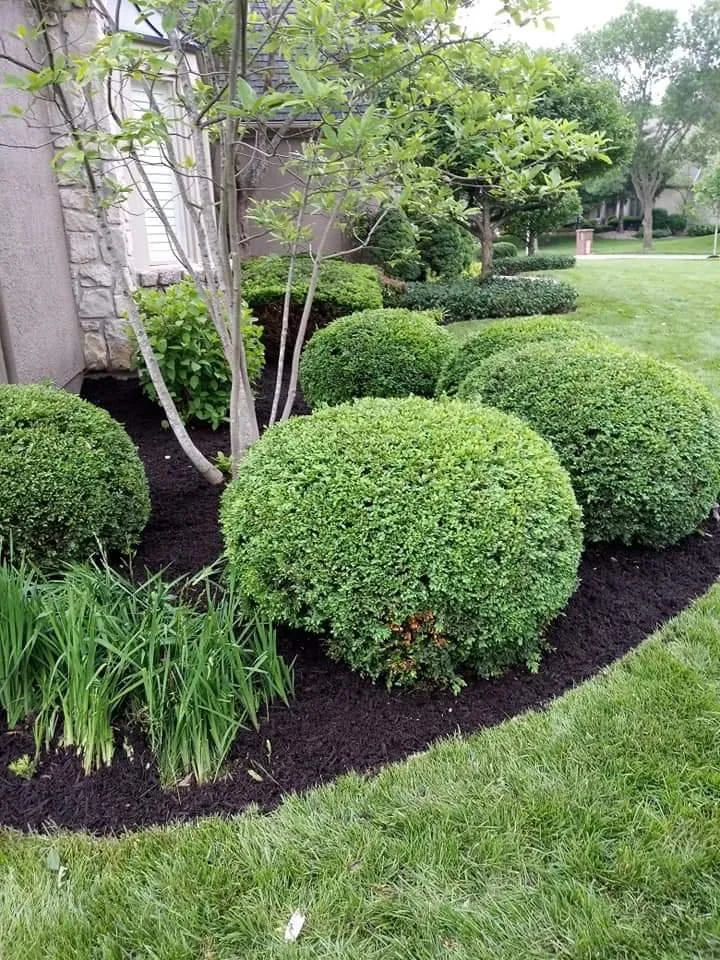 Professional landscape design near you across Raytown, MO - Marquez's Landscaping Service