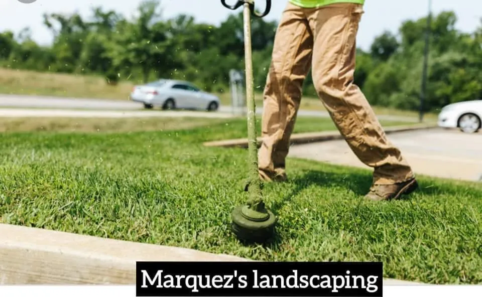 Expert landscape design for beautiful yards across Raytown, MO - Marquez's Landscaping Service
