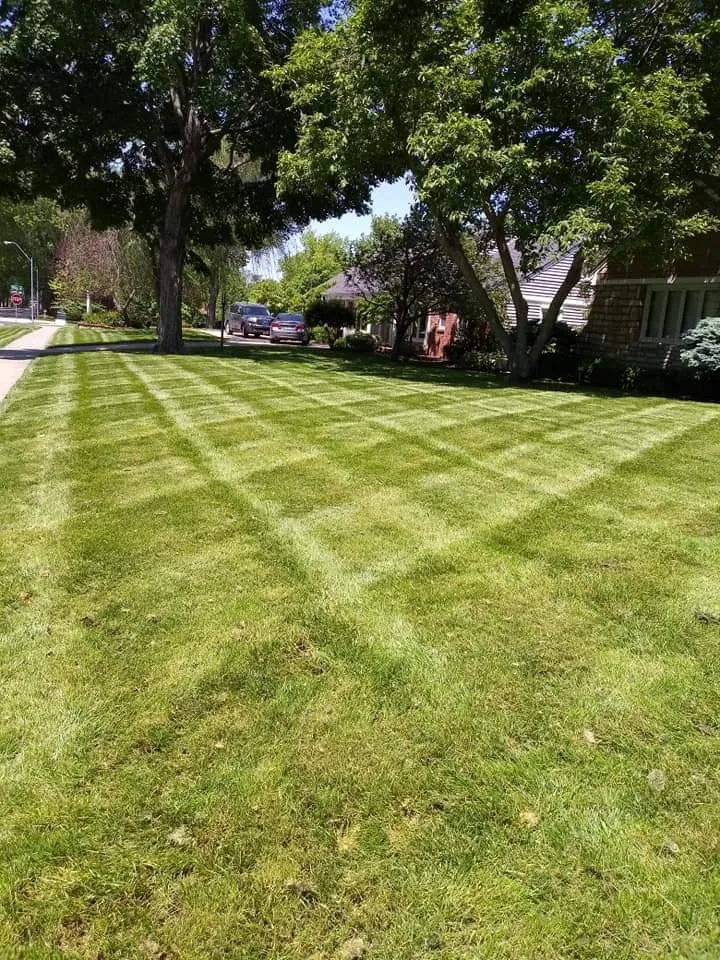 Expert residential landscaping for homes across Raytown, MO - Marquez's Landscaping Service