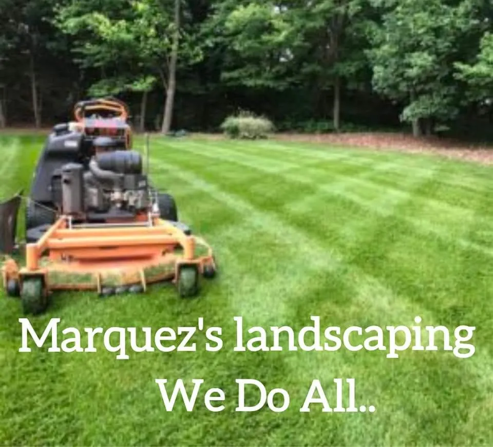 Custom yard cleanup service experts serving Raytown, MO - Marquez's Landscaping Service