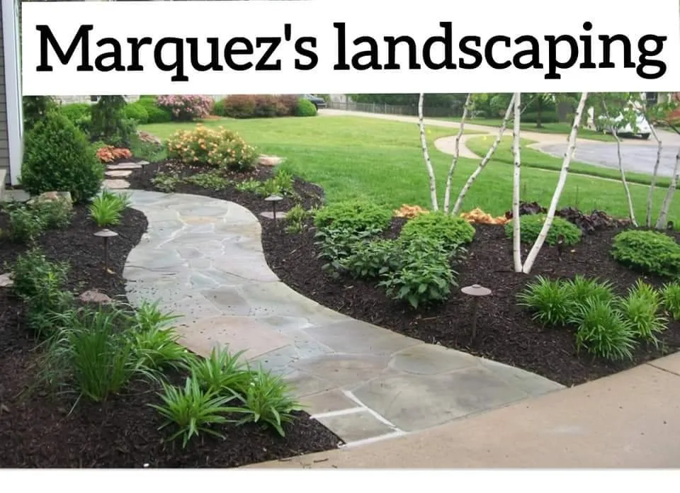 Expert landscaping services for beautiful yards across Raytown, MO - Marquez's Landscaping Service