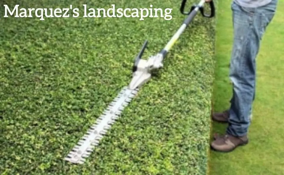 Local outdoor landscaping in Raytown, MO - Marquez's Landscaping Service