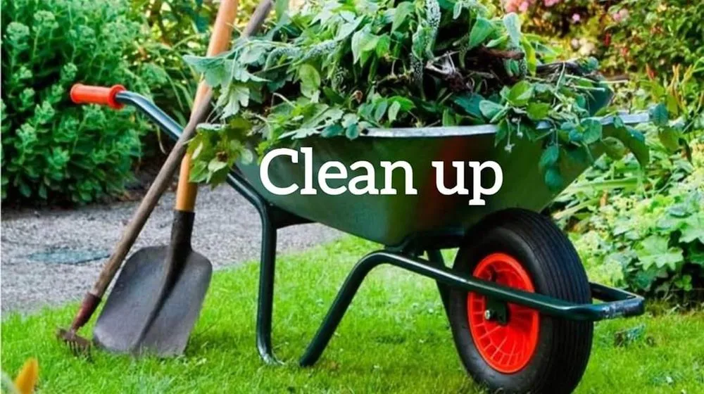 Trusted yard maintenance experts serving Raytown, MO - Marquez's Landscaping Service