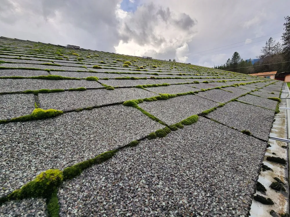 Custom landscape installation in Rogue River, OR by MARR Construction