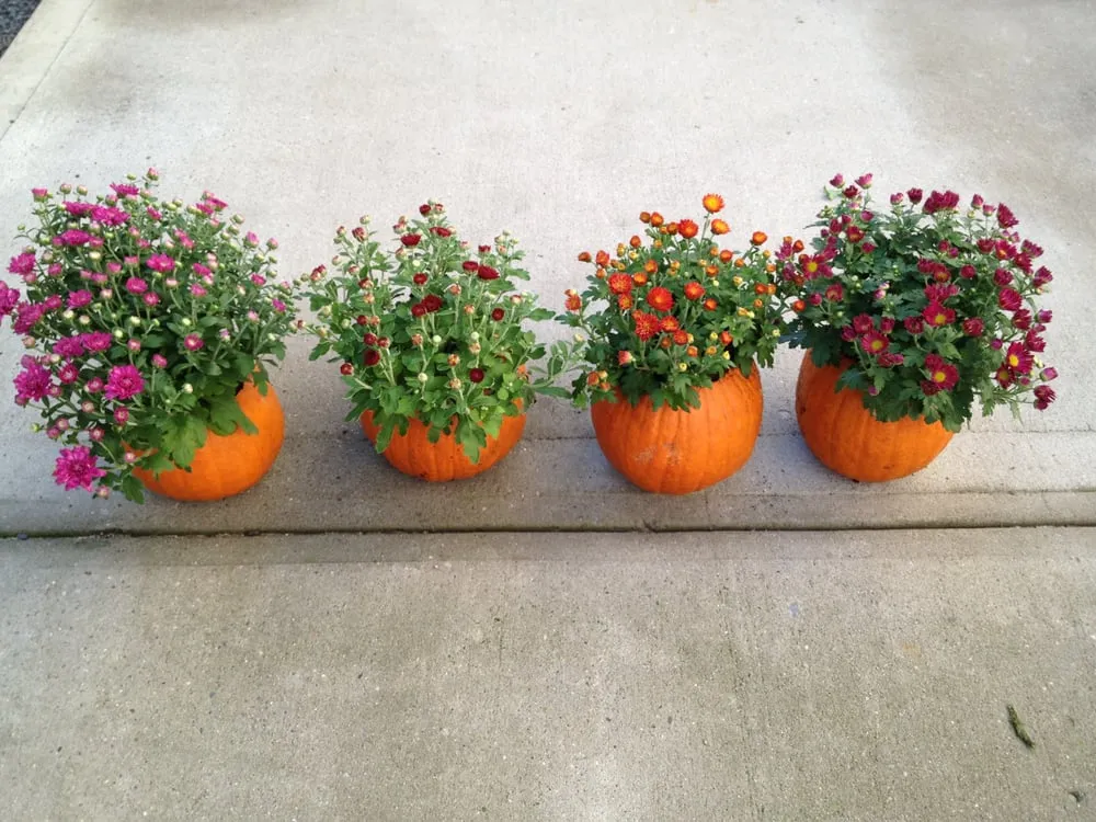 Custom landscape design experts serving Melville, NY - Marra Landscaping