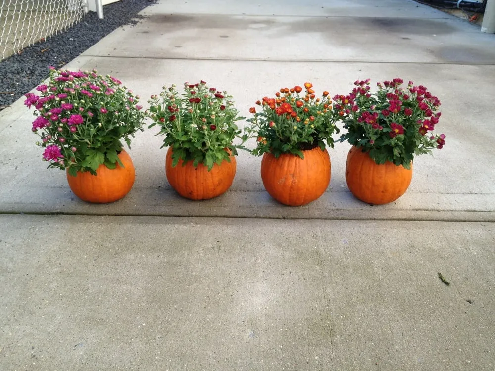 Trusted landscape installation experts serving Melville, NY - Marra Landscaping