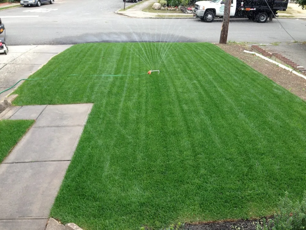 Reliable lawn care service with custom design in Melville, NY by Marra Landscaping