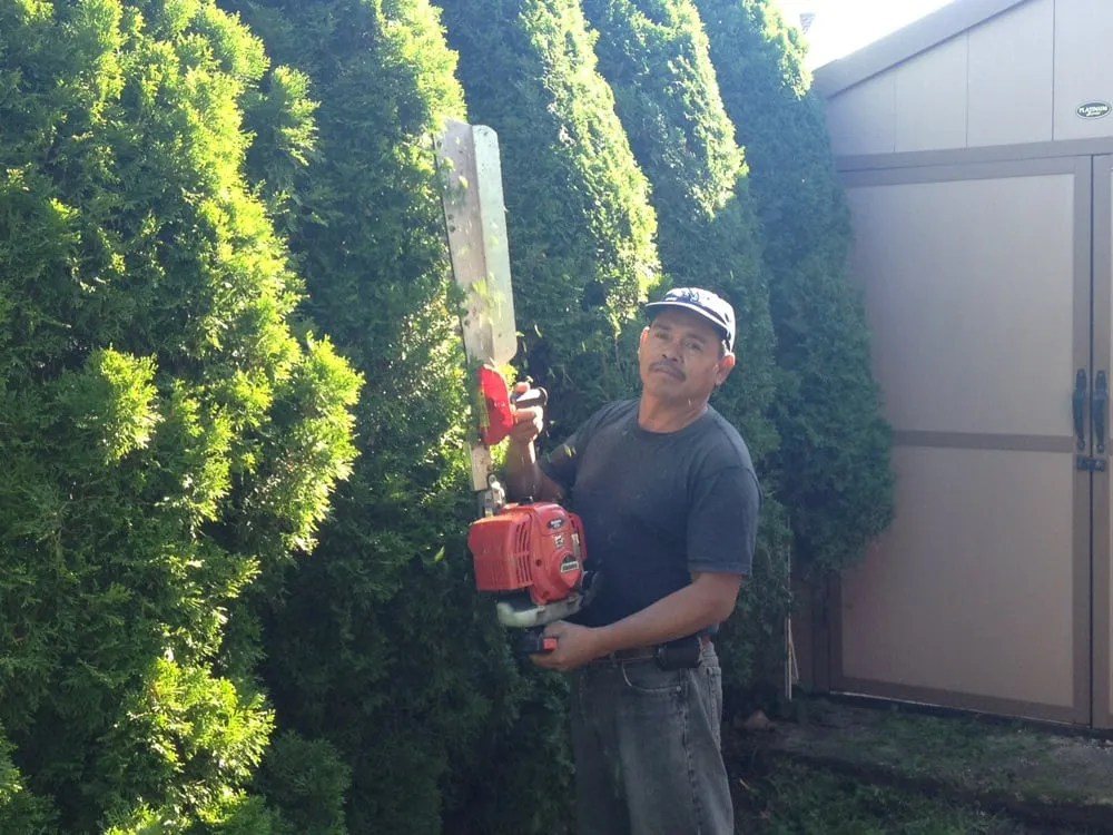 Custom garden landscaping for outdoor upgrades across Melville, NY - Marra Landscaping