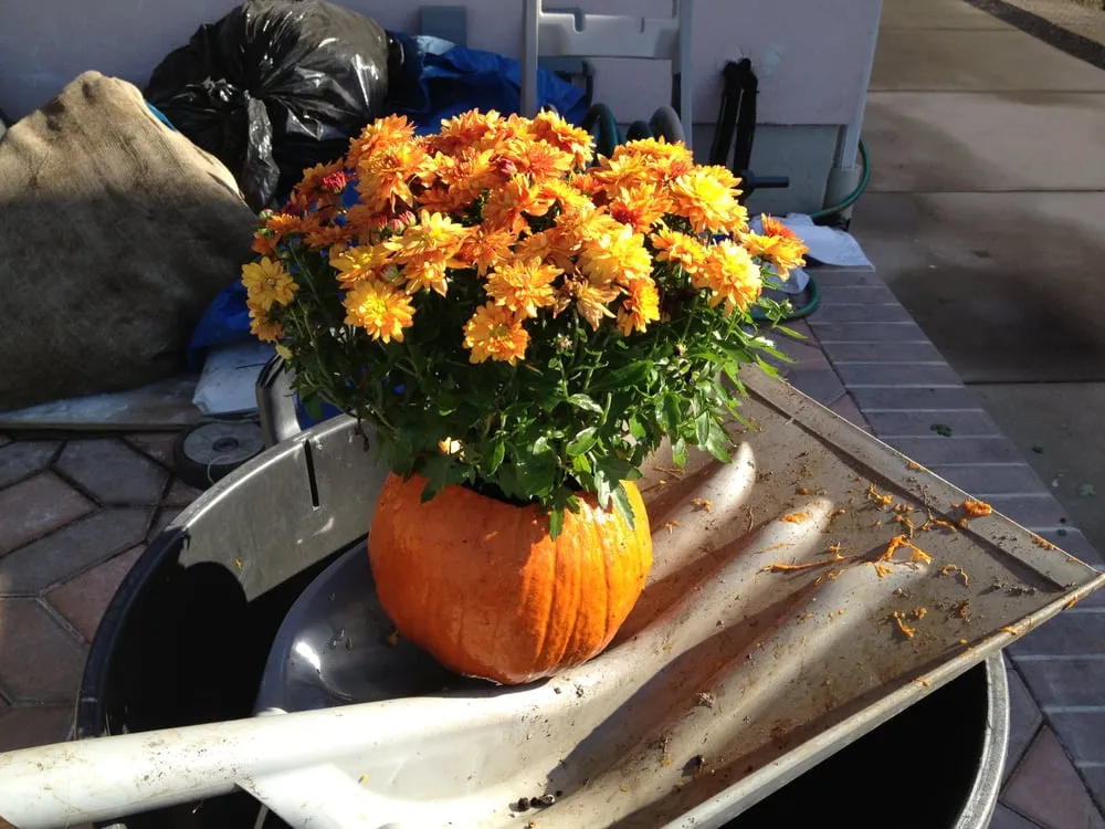 Top-rated residential landscaping in Melville, NY by Marra Landscaping