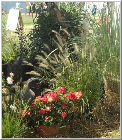 Professional yard maintenance for residential properties across Wycombe, PA - Marrazzo's North River