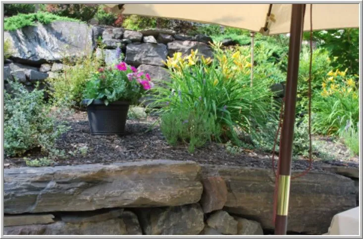 Local lawn care service in Wycombe, PA - Marrazzo's North River