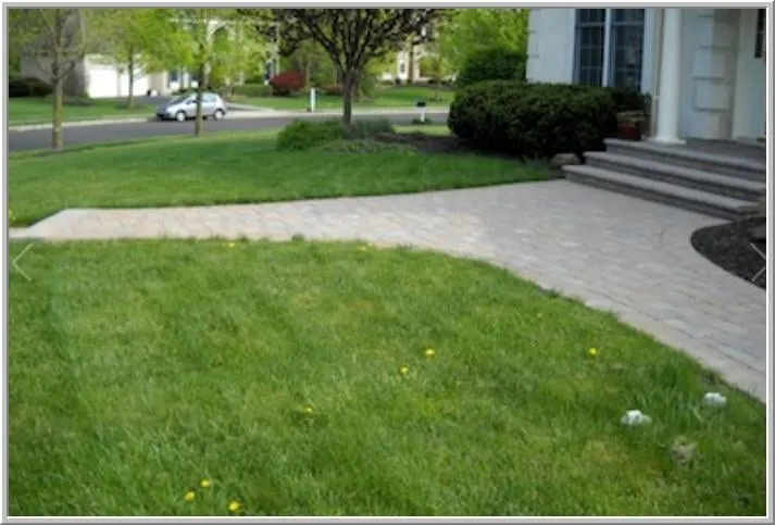 Reliable yard maintenance for beautiful yards across Wycombe, PA - Marrazzo's North River