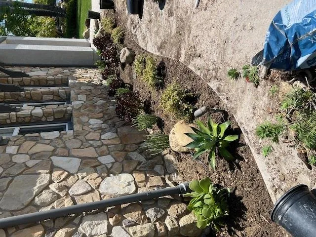 Affordable yard maintenance in San Fernando Valley, CA by Marroquin Landscape Services