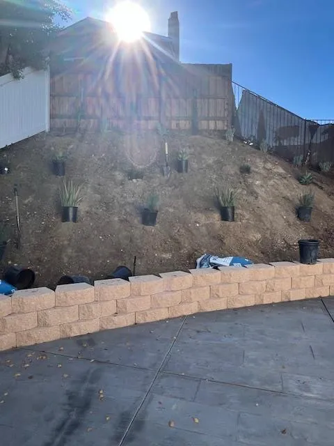 Local outdoor landscaping experts serving San Fernando Valley, CA - Marroquin Landscape Services