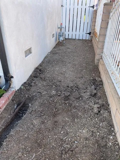 Custom yard maintenance in San Fernando Valley, CA by Marroquin Landscape Services