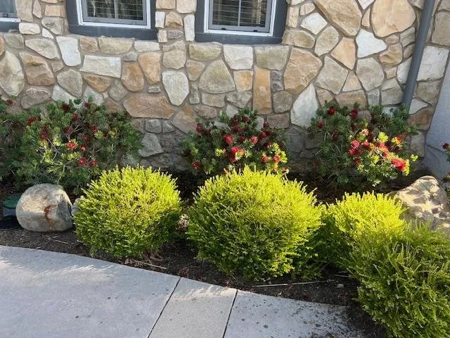 Local yard cleanup service experts serving San Fernando Valley, CA - Marroquin Landscape Services