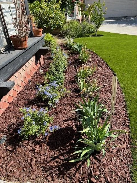 Custom lawn mowing service for residential properties in San Fernando Valley, CA by Marroquin Landscape Services