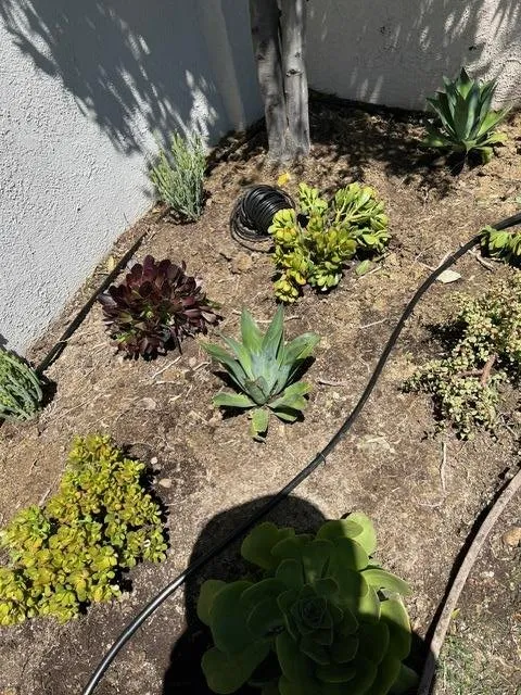 Reliable outdoor landscaping in San Fernando Valley, CA by Marroquin Landscape Services