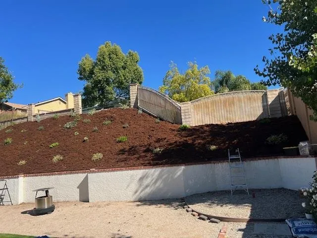 Reliable landscaping services for beautiful yards in San Fernando Valley, CA by Marroquin Landscape Services