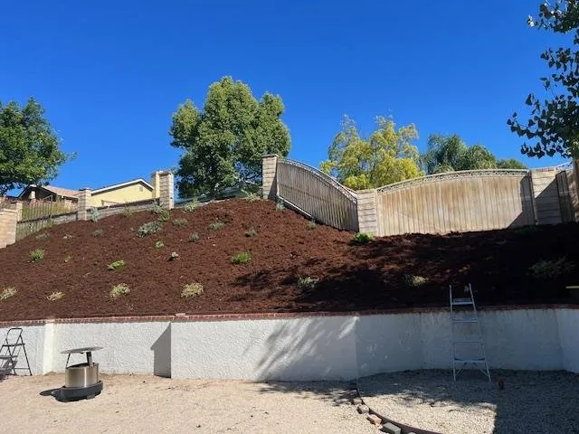 Local yard maintenance in San Fernando Valley, CA by Marroquin Landscape Services