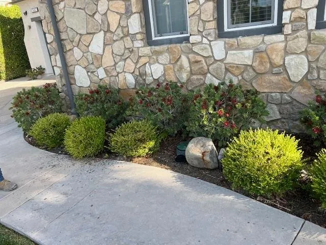 Expert residential landscaping in San Fernando Valley, CA - Marroquin Landscape Services